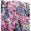 imageVerdusa Girls Floral Print Puff Sleeve Square Neck Shirred Swing A Line DressBlue and Pink