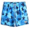 imageVerdusa Mens Casual Paisley Print Drawstring Waist Shorts Summer Beach ShortsBlue