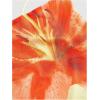 imageVerdusa Womens Y2K Tie Dye Floral Backless Summer Top Cowgirl Western Bandana TopsYellow